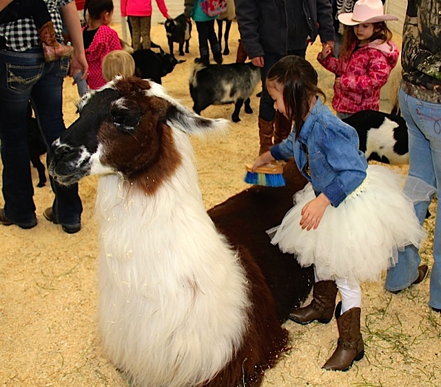 Atthe Petting Zoo